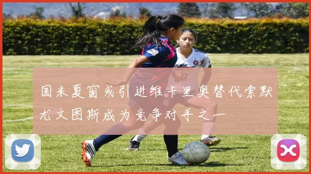 国米夏窗或引进维卡里奥替代索默尤文图斯成为竞争对手之一
